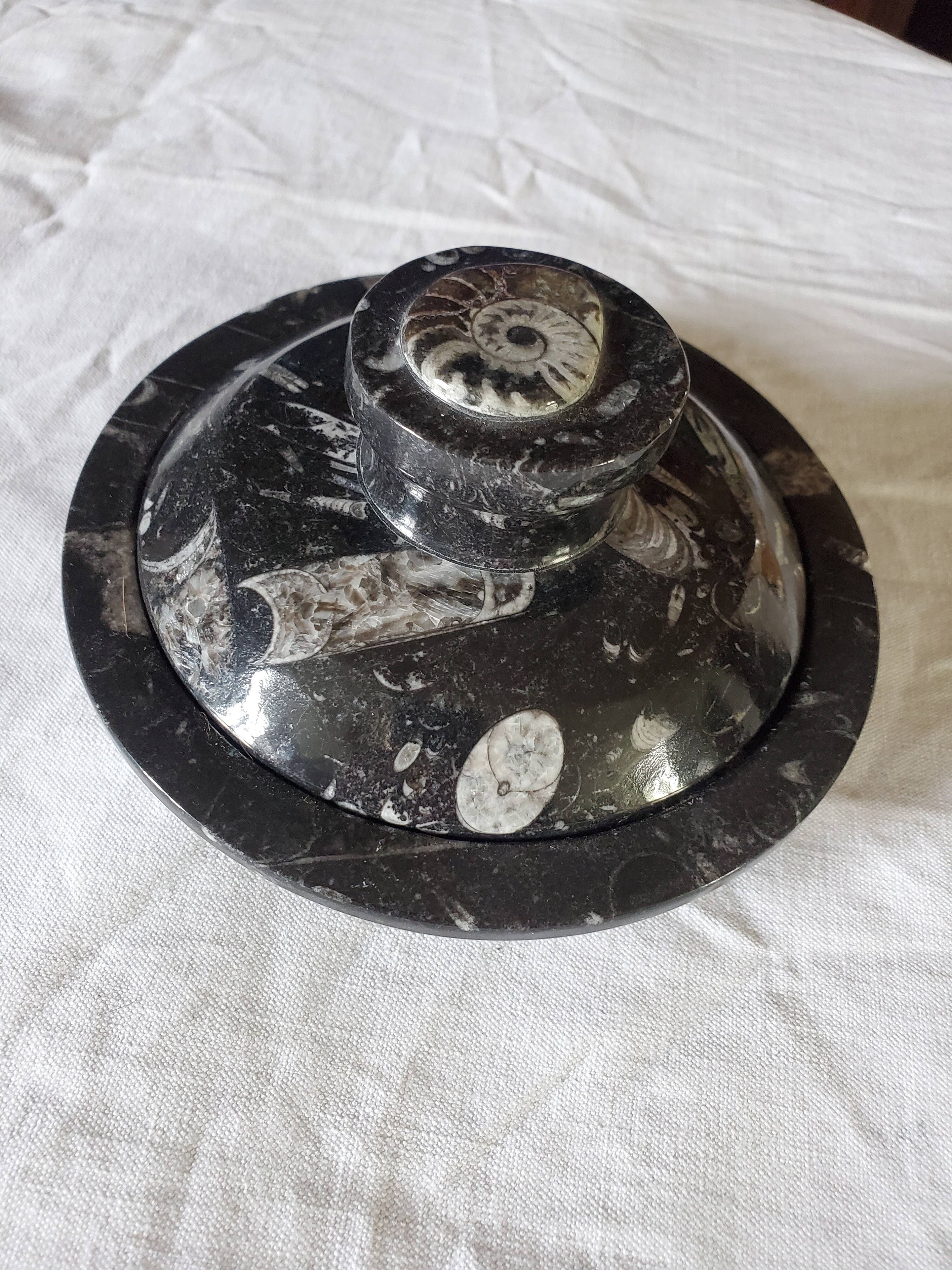 Fossilized marble box