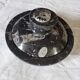Fossilized marble box