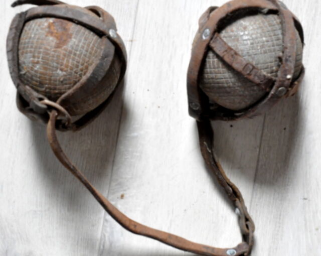 Petanque balls