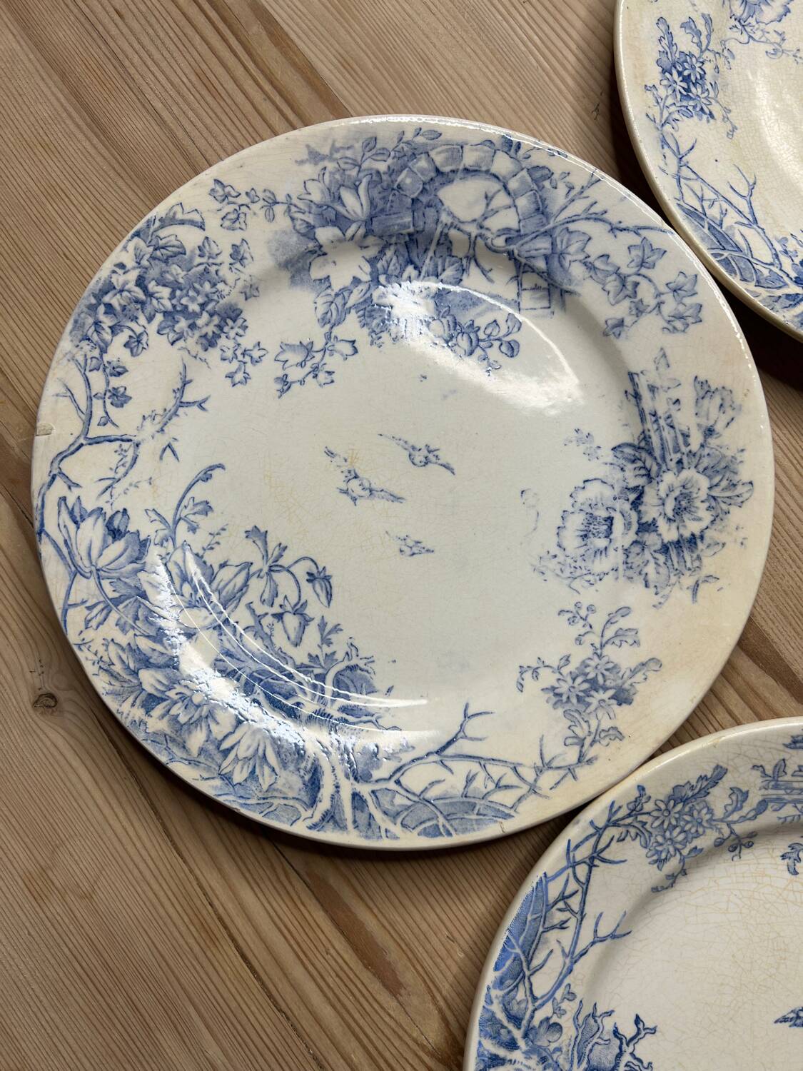 Set of 6 vintage dinner plates