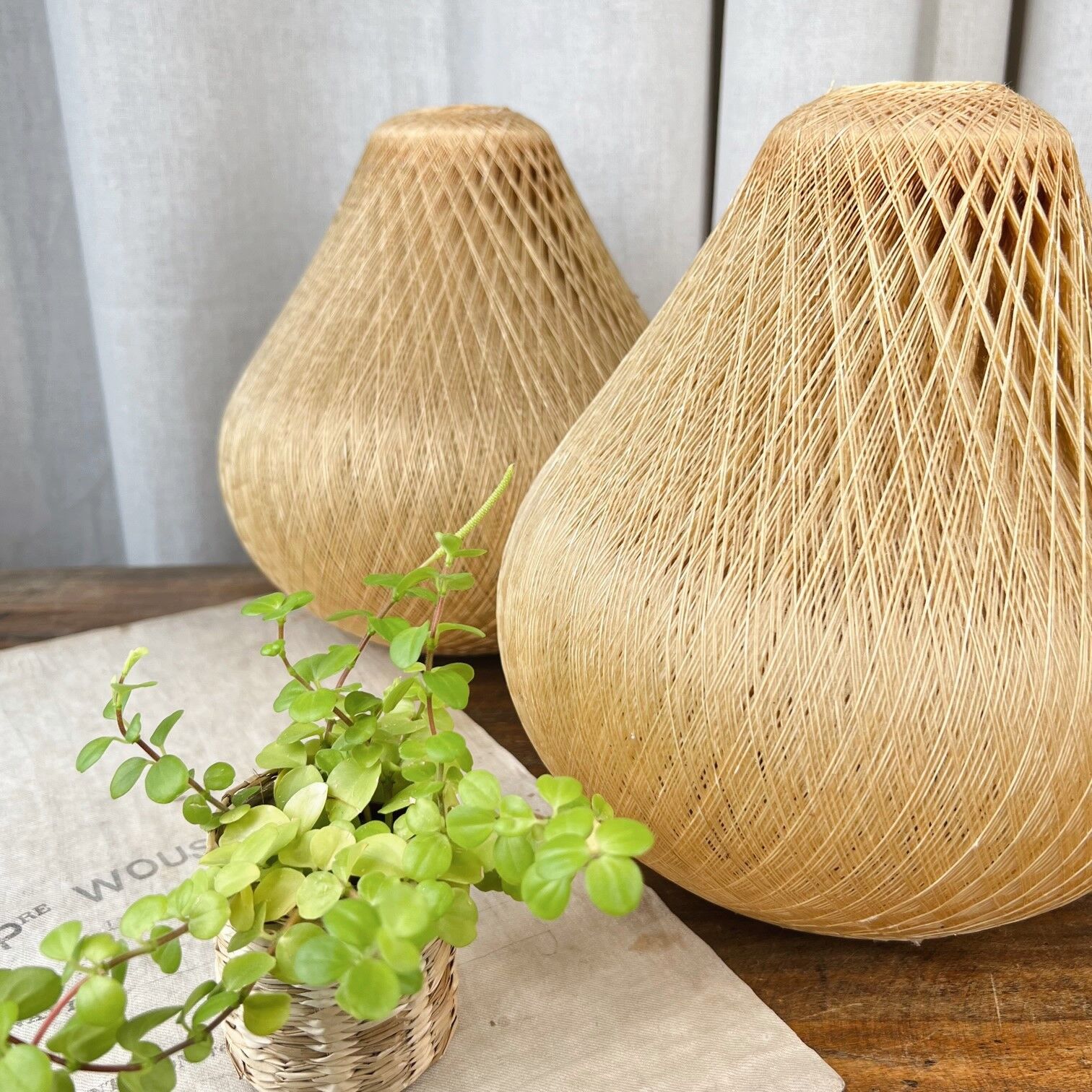 Duo de suspensions scandinaves vintage