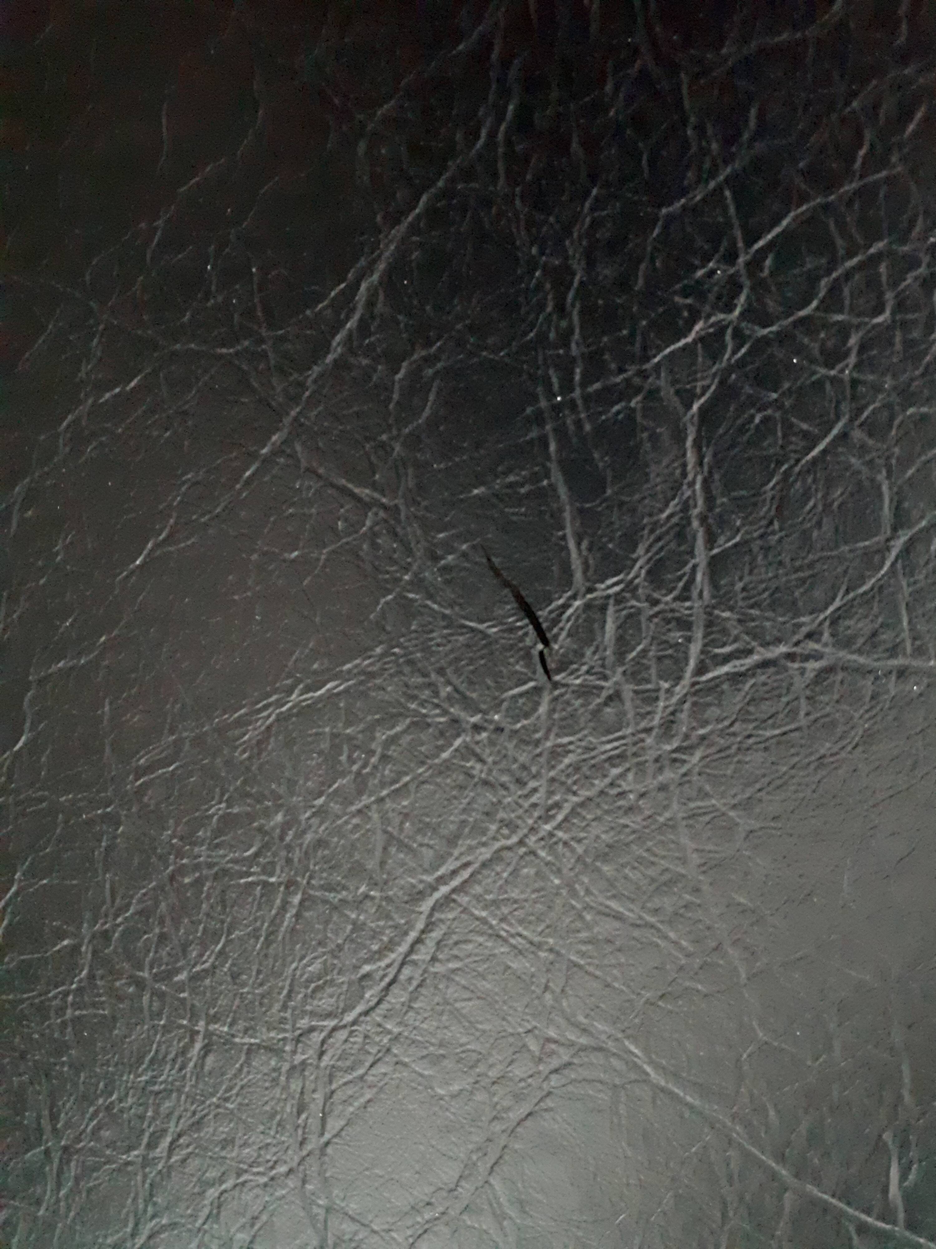 Pair of chairs ed Airborne model Carolina 1960