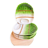 Set of 5 plates service dish tray barbotine ceramic vegetable porcelain asparagus italica
