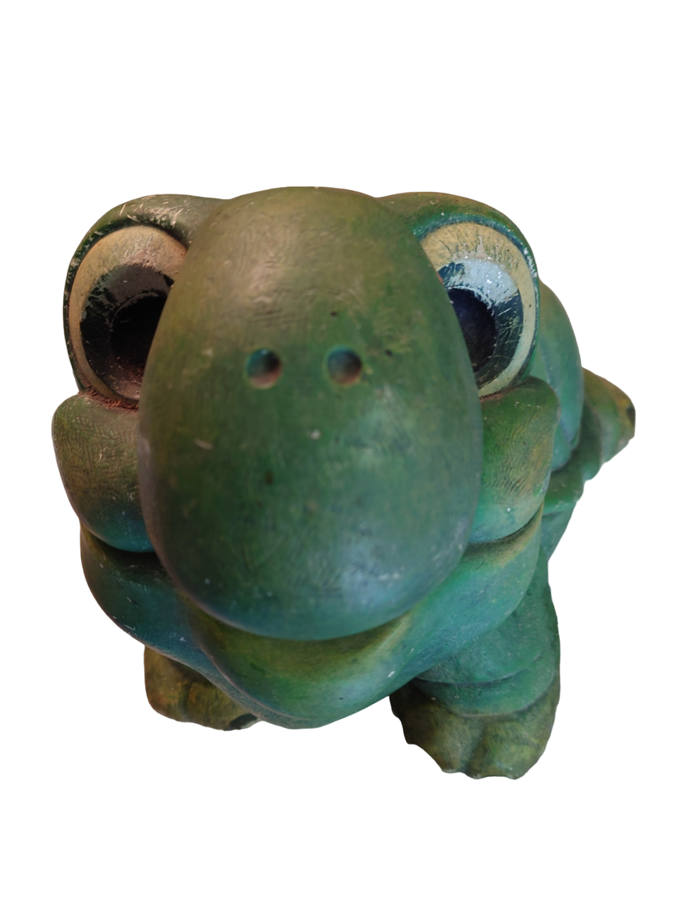 Green turtle in concrete