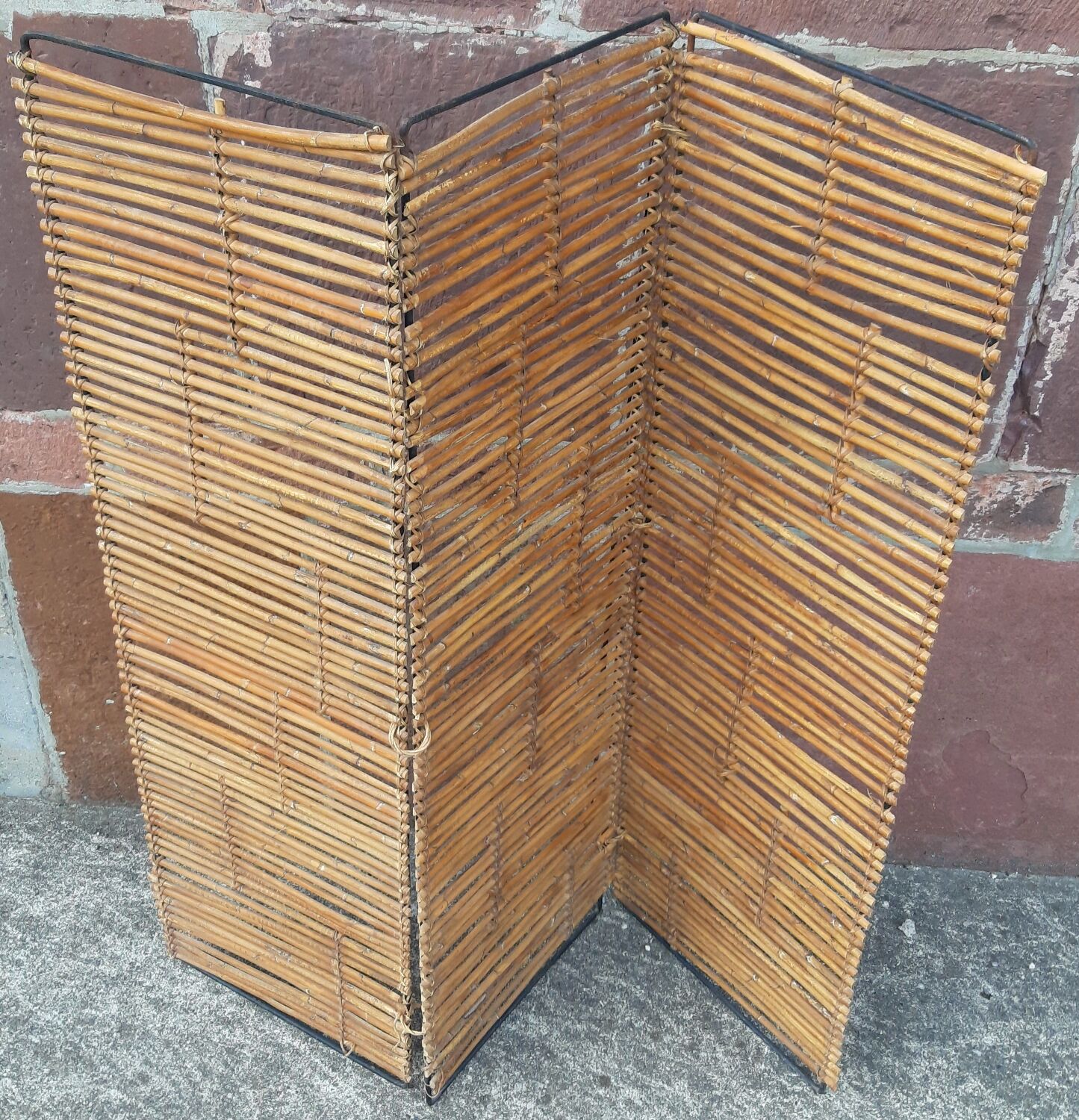 Bamboo screen year 60