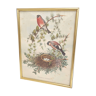 Golden frame illustration nest couple of birds