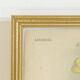 Lithographie d' orchidee planche ancienne cadre doré déco loft