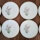Vintage Floral Pattern Gien Earthenware Dinner Plates