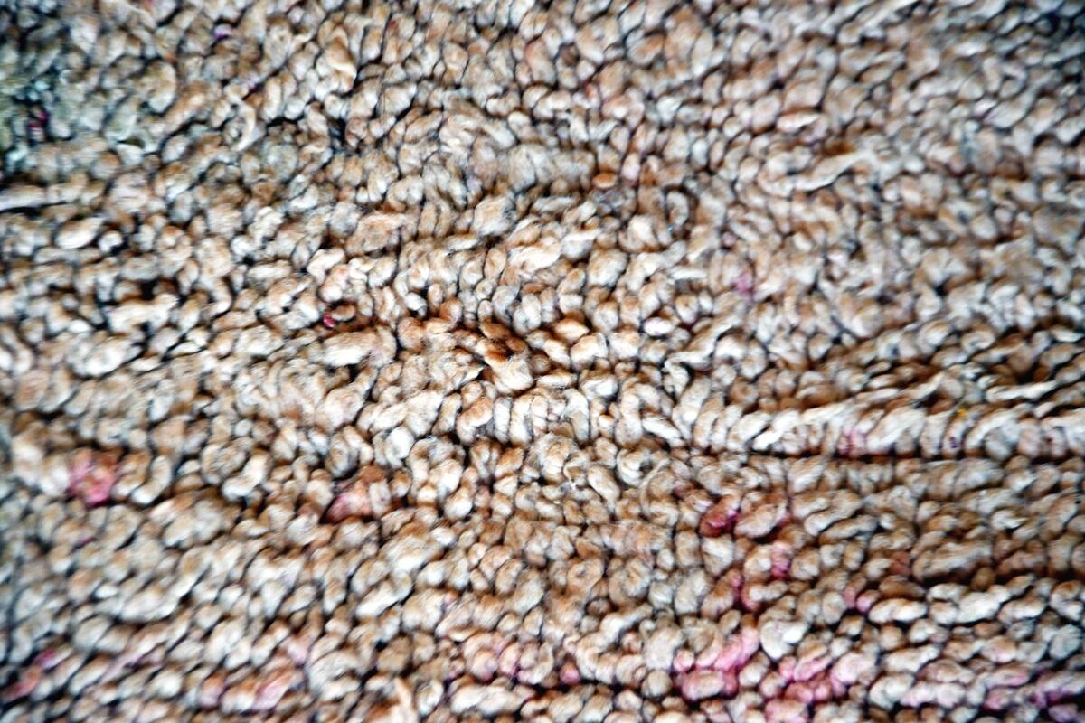 Vintage Boujaad rug 385 x 165 cm