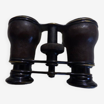 Pair of binoculars