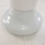 Italian opaline glass zea floor lamp by Salocchi for Lumenform, 1970s