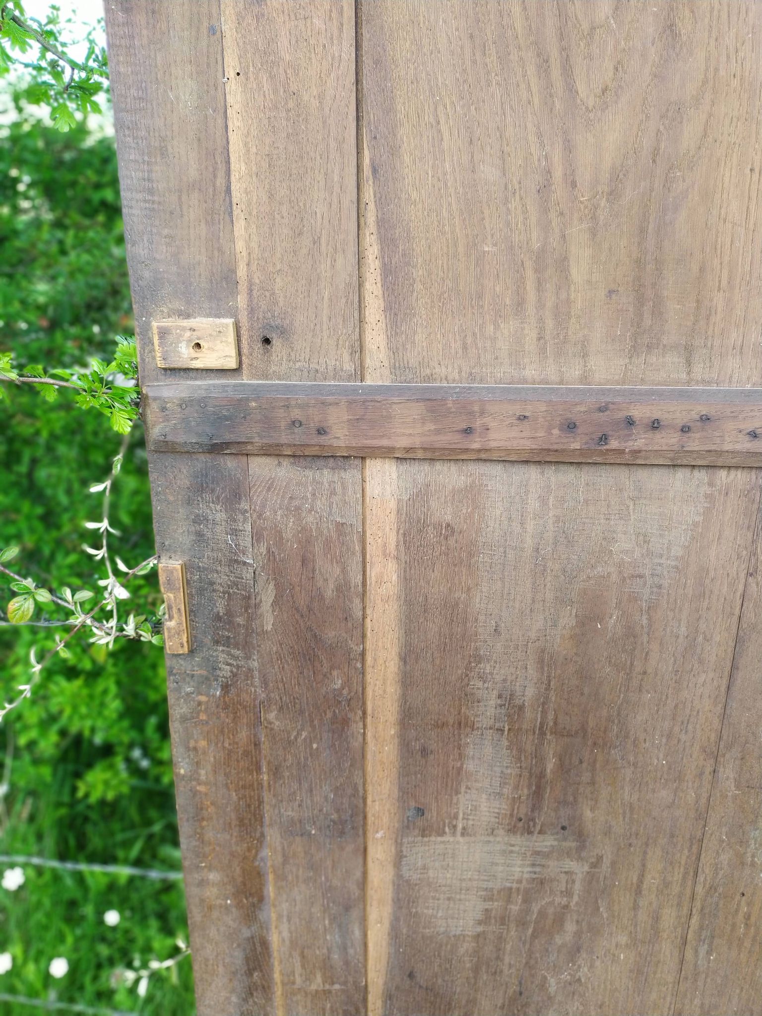 Portes d'armoire en chêne