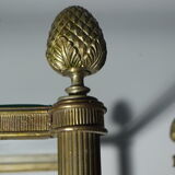 Pair of brass and gilded bronze shelves feet lion's feet