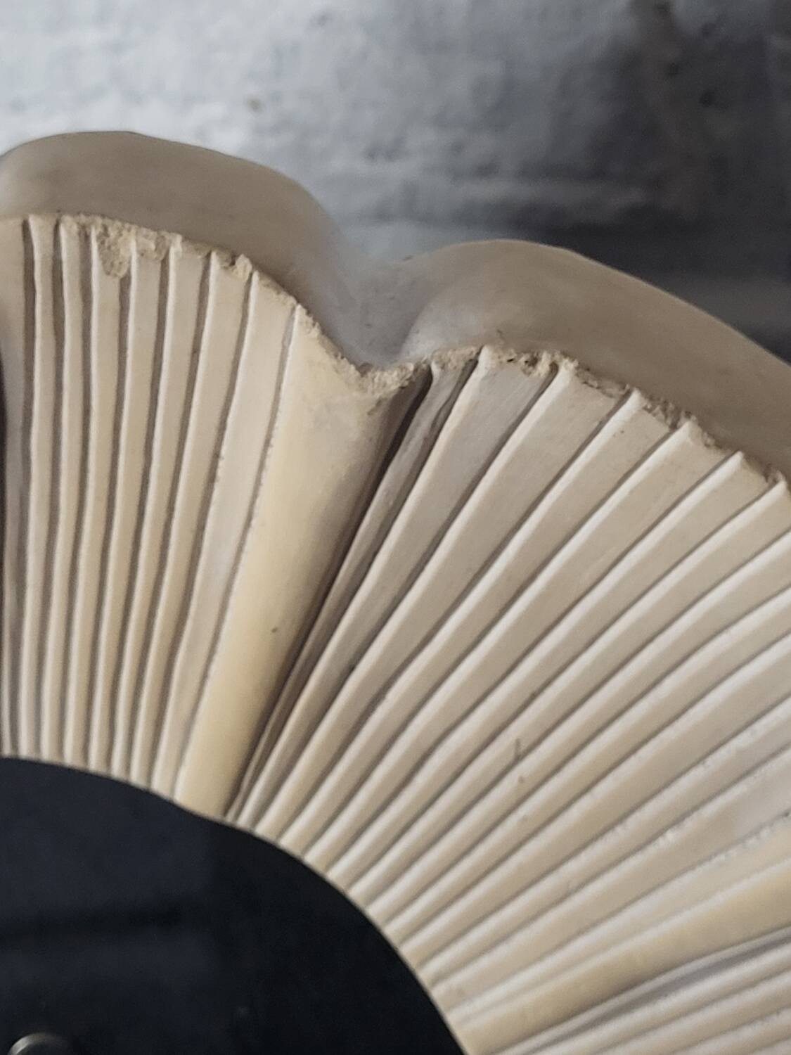 Seashell photo frame