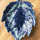 Plat feuille céramique bleue Vallauris