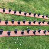 School hooks row of 12