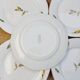 Digoin Sarreguemines Nemours flat plates
