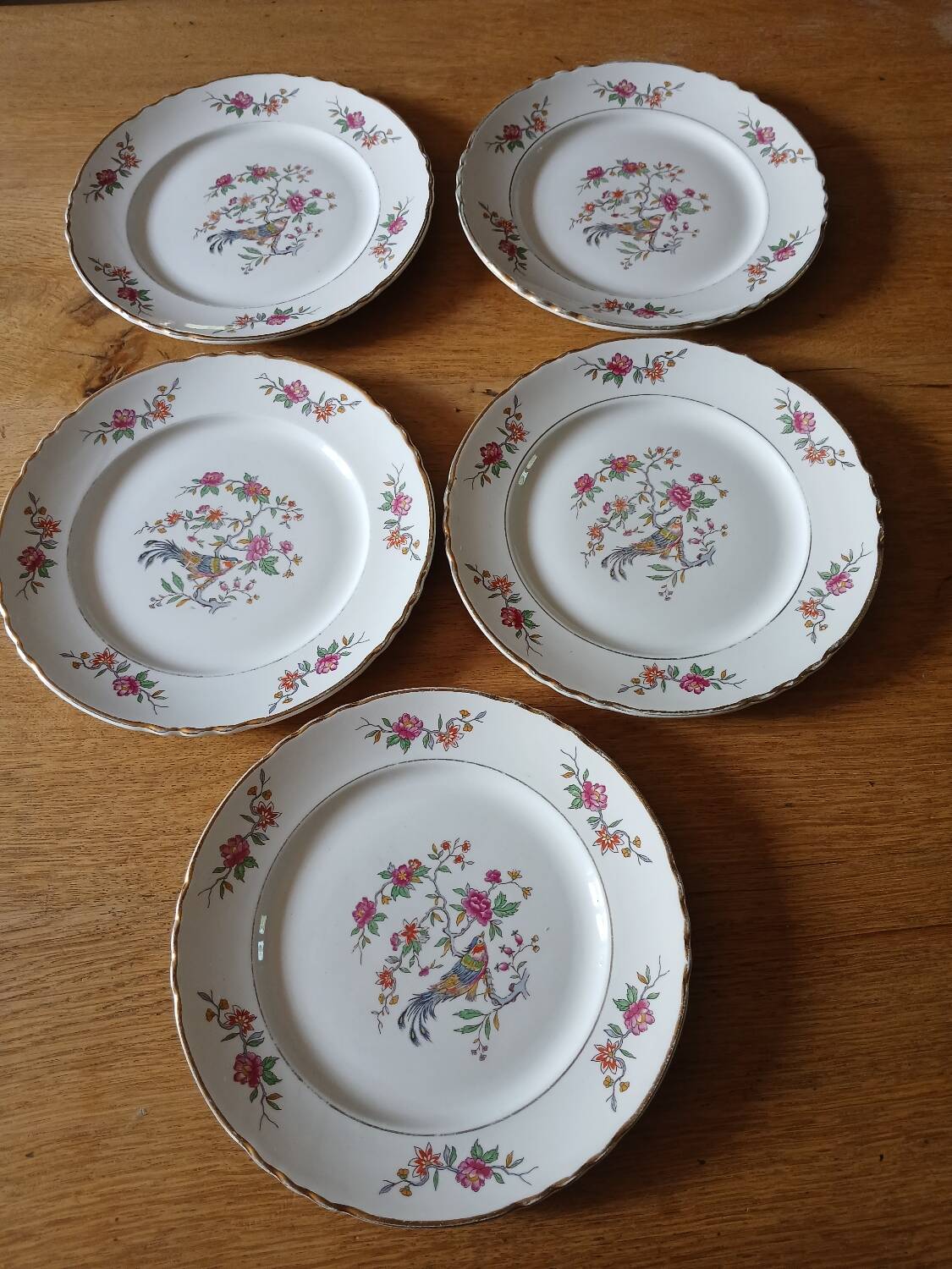5 old Moulin des loups flat plates