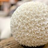 Lampe à poser en coquillages