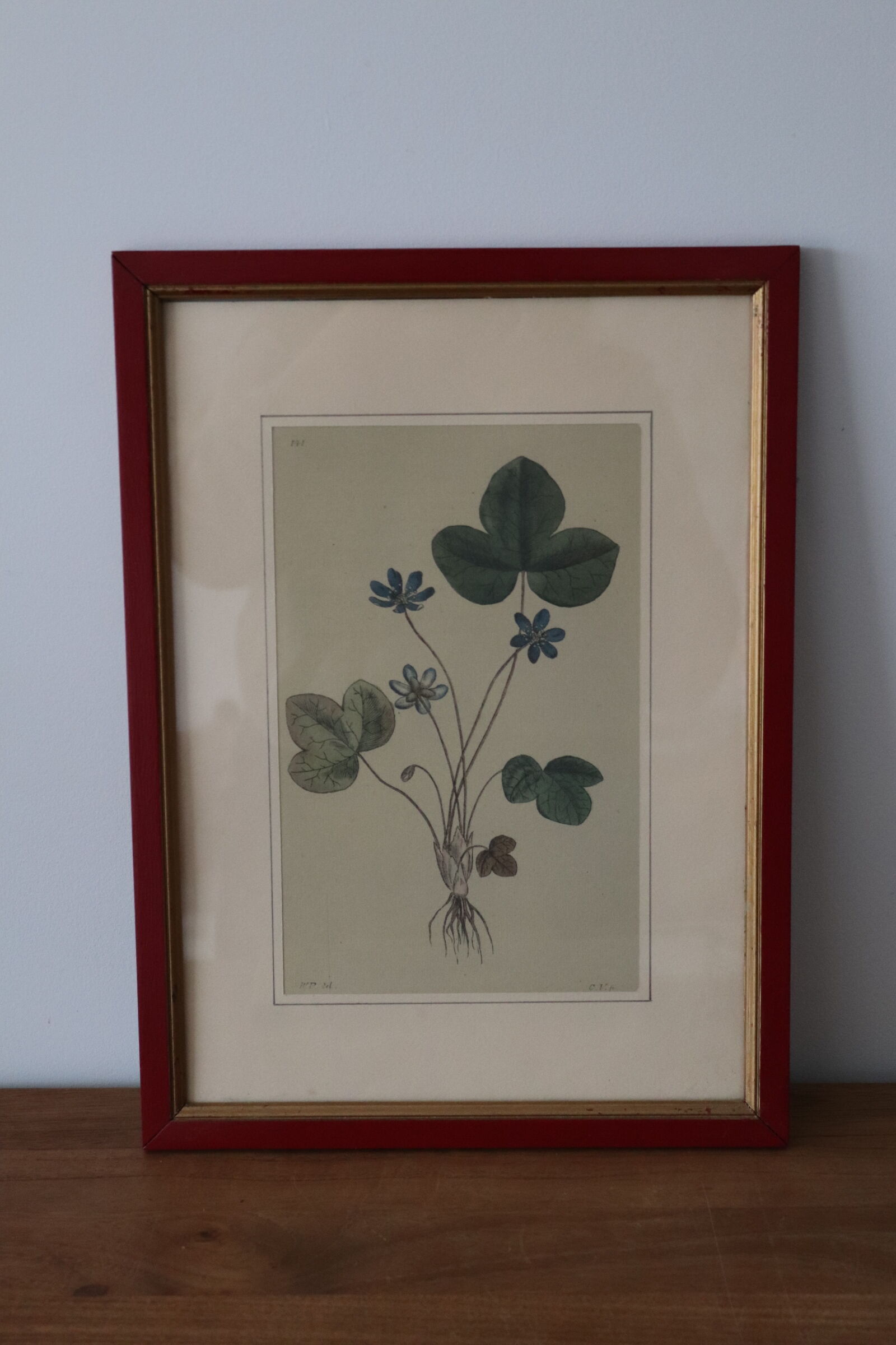 Vintage clover botanical frame