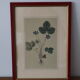 Vintage clover botanical frame