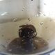Biot glass cup
