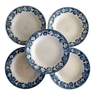 Lot de 5 assiettes terre de fer Saint Amand