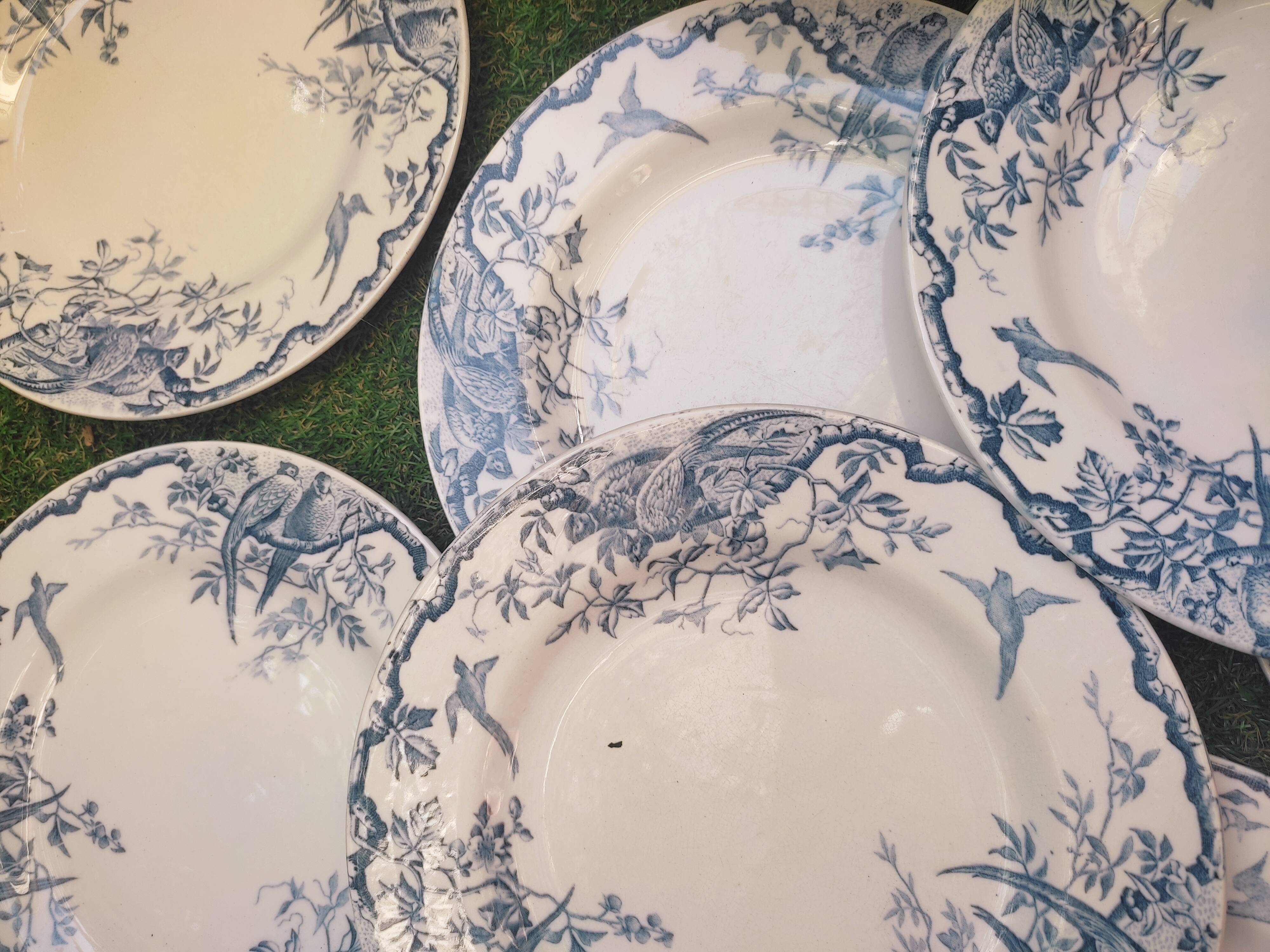 7 plates in earthenware with bird motifs by Lunéville