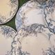 7 plates in earthenware with bird motifs by Lunéville