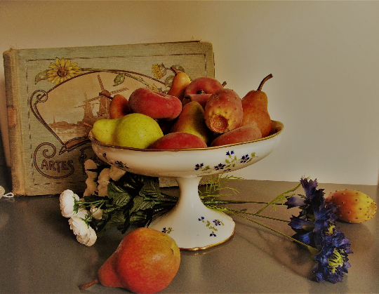 French antique porcelain fruit bowl by E. Bourgeois