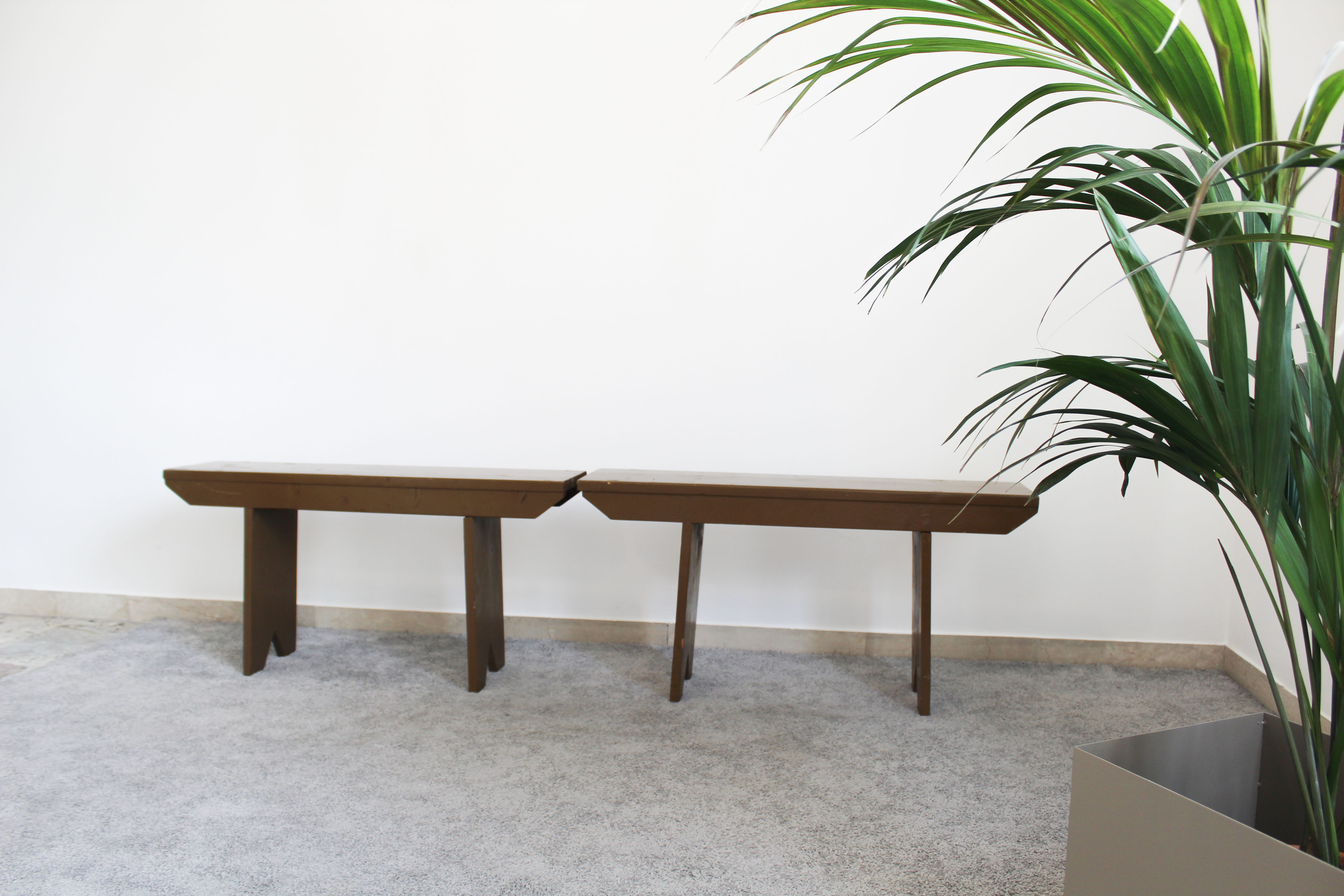 Pair of Spruce Wood Benches, Italy 50s