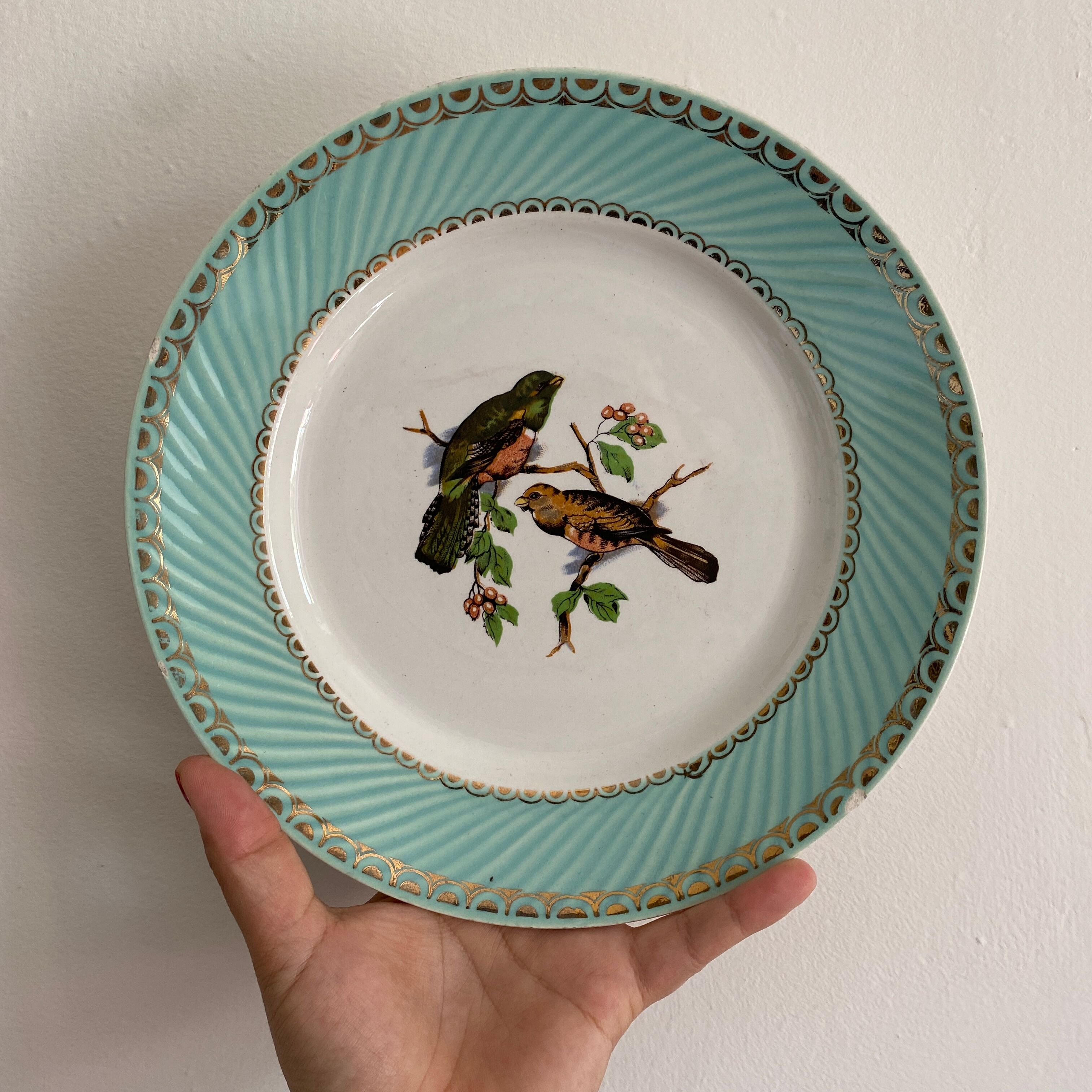 Set of 10 vintage flat plates with bird drawings