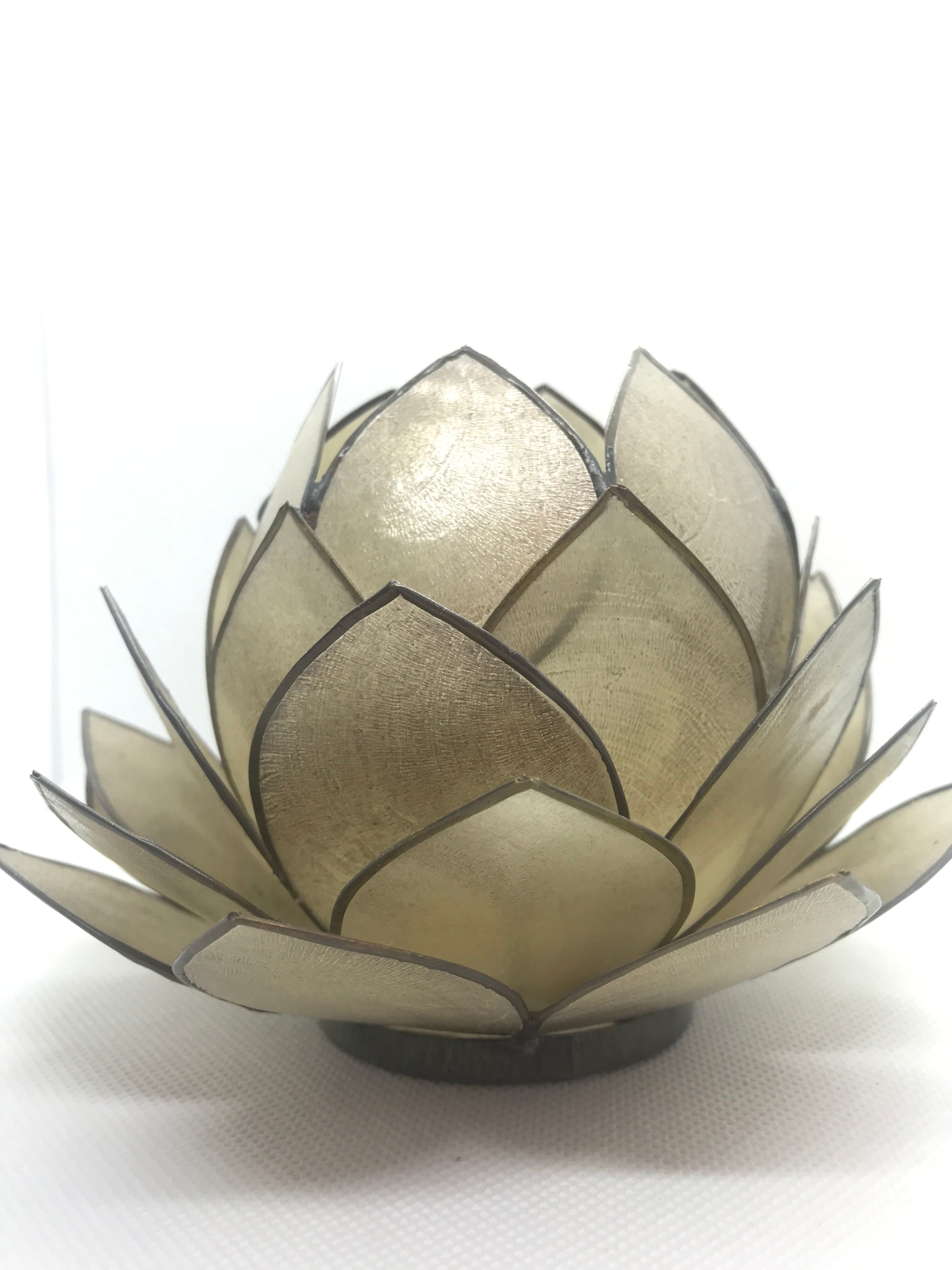 Mother-of-pearl flower and brass