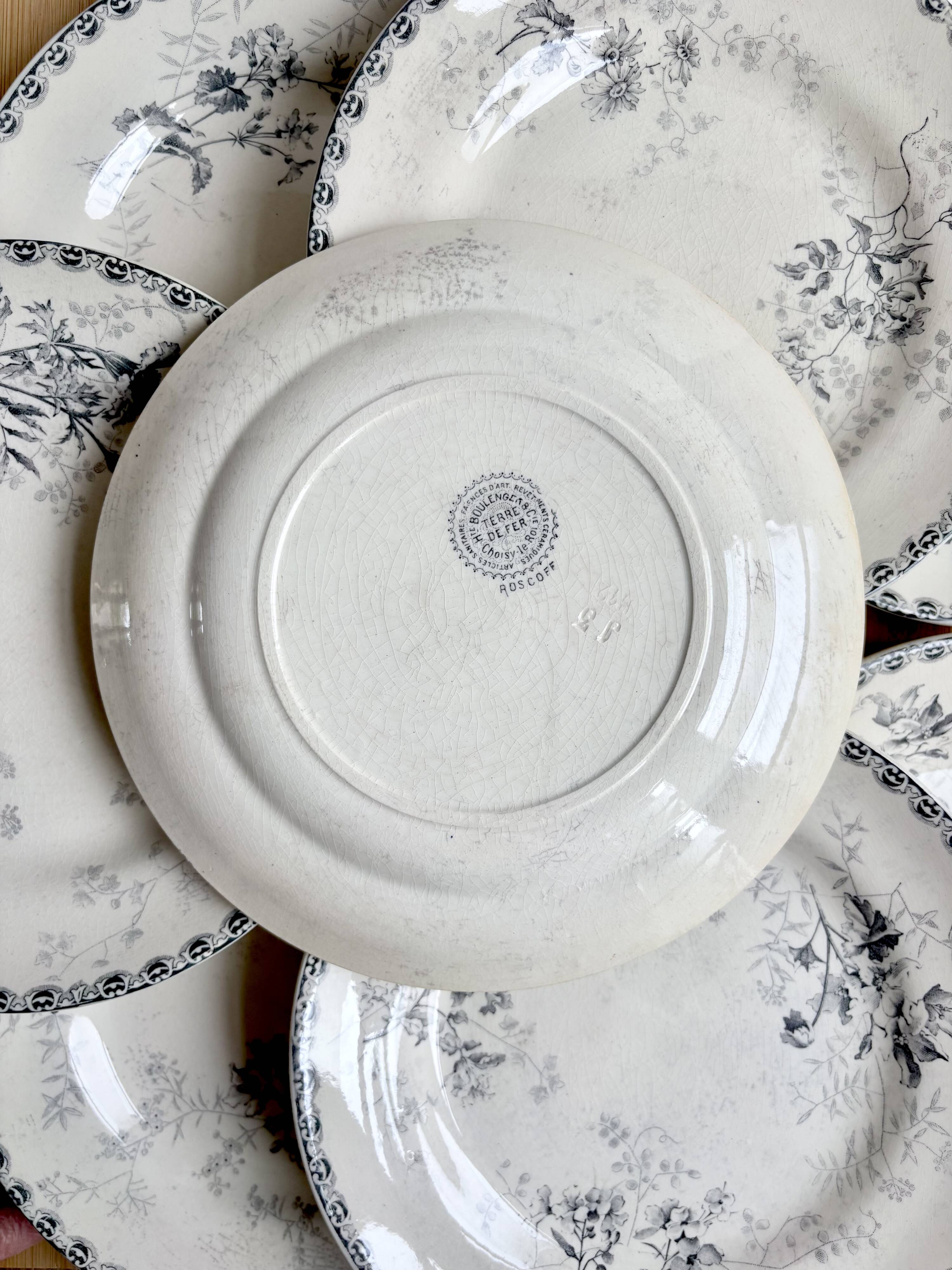 8 flat plates - Ironstone - Choisy-le-Roi