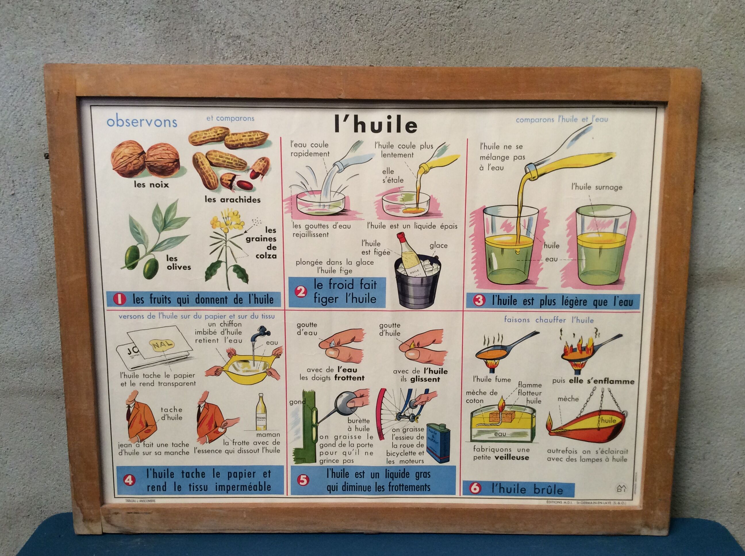 School poster on both sides Potato / Vintage Oil 1960