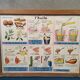 School poster on both sides Potato / Vintage Oil 1960