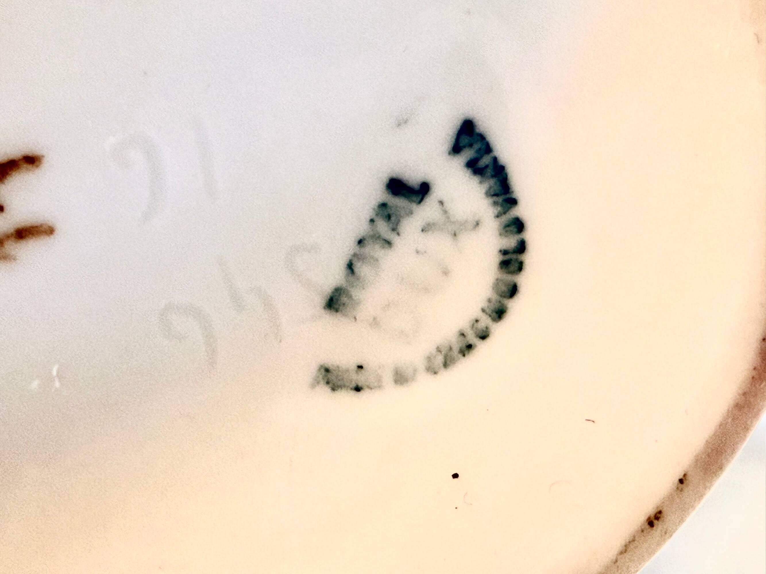 White and Blue Porcelain Vase by Jindřich Marek for Royal Dux, Czech Republ