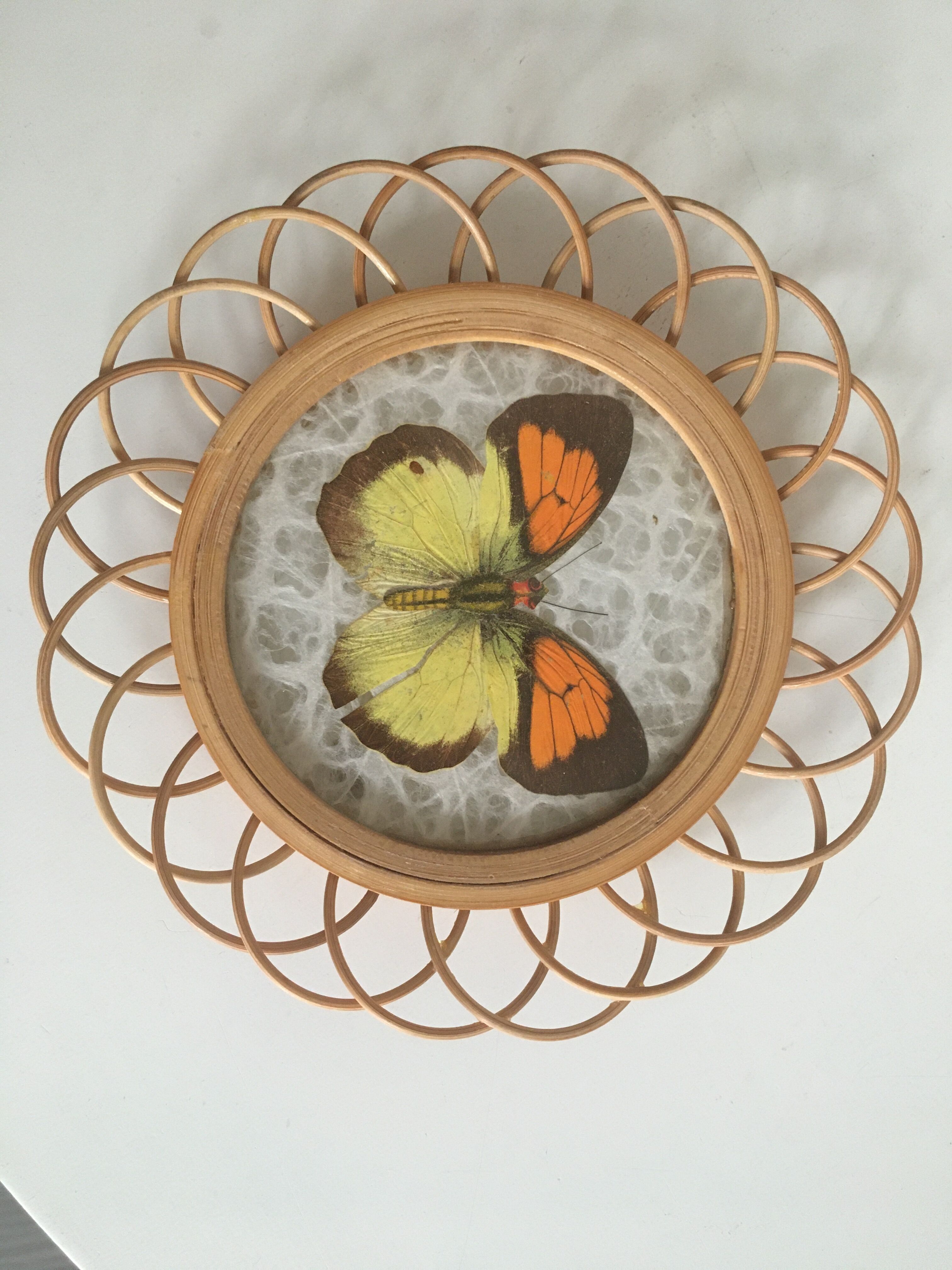 Rattan under glasses with butterflies in bamboo display