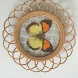 Rattan under glasses with butterflies in bamboo display