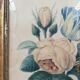 18th-century watercolor