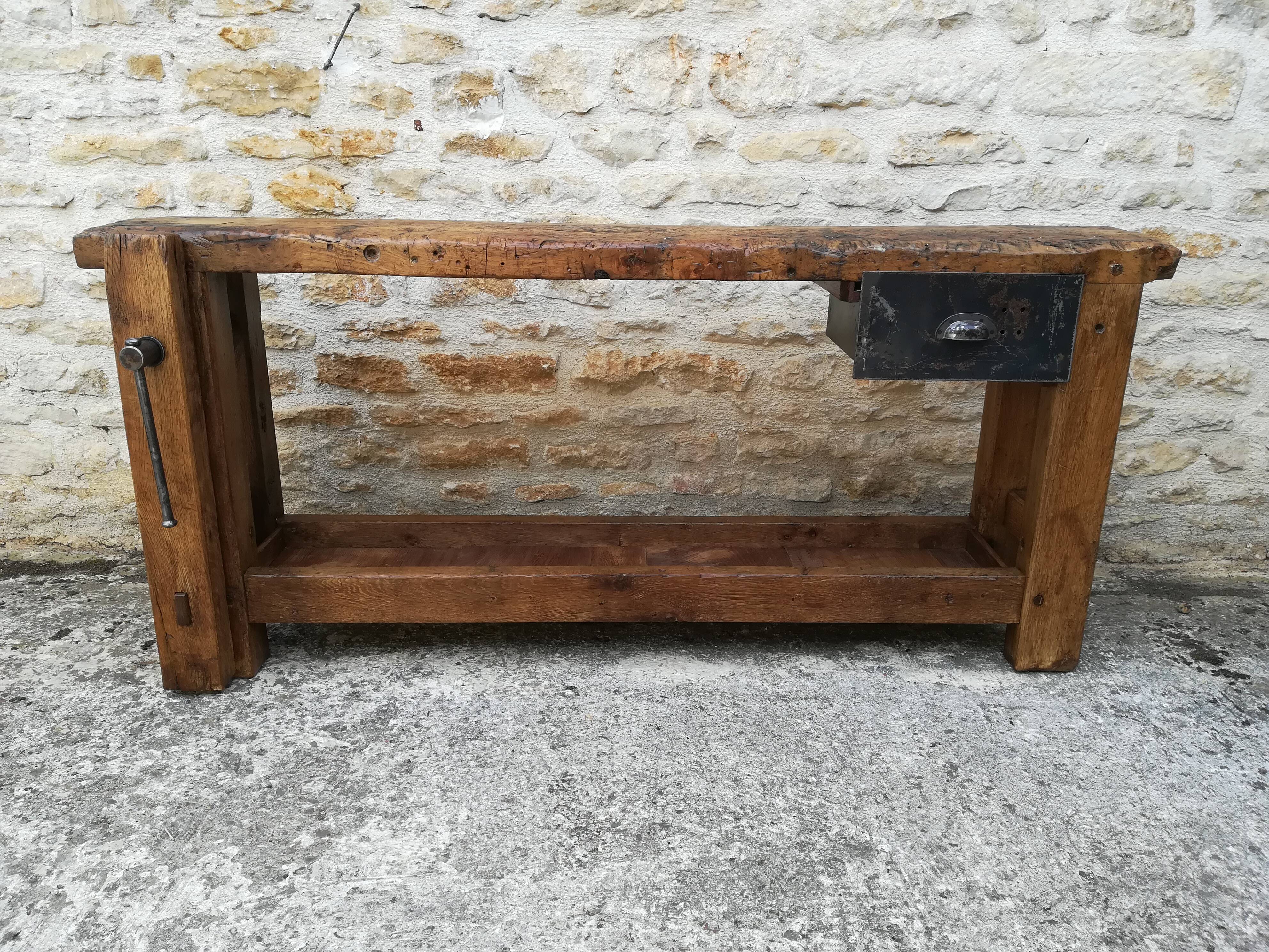 Established in elm and oak