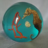 Sulfure boule résine inclusion hippocampe corail vintage