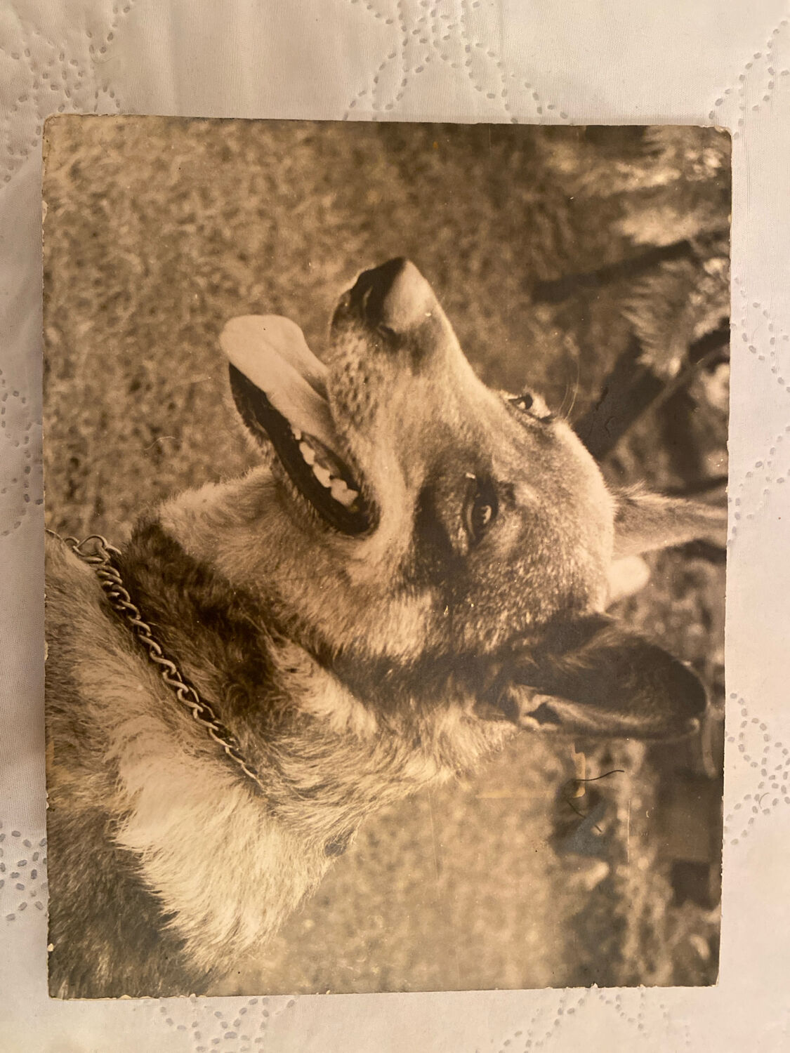 Duo of Vintage Photographs (1970s/1980s) on Panels – Fishing Trawler