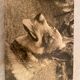 Duo of Vintage Photographs (1970s/1980s) on Panels – Fishing Boat