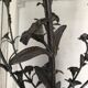 Pair of carrara marble vases, bronze bouquet of flowers