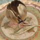 Vintage brass ashtray