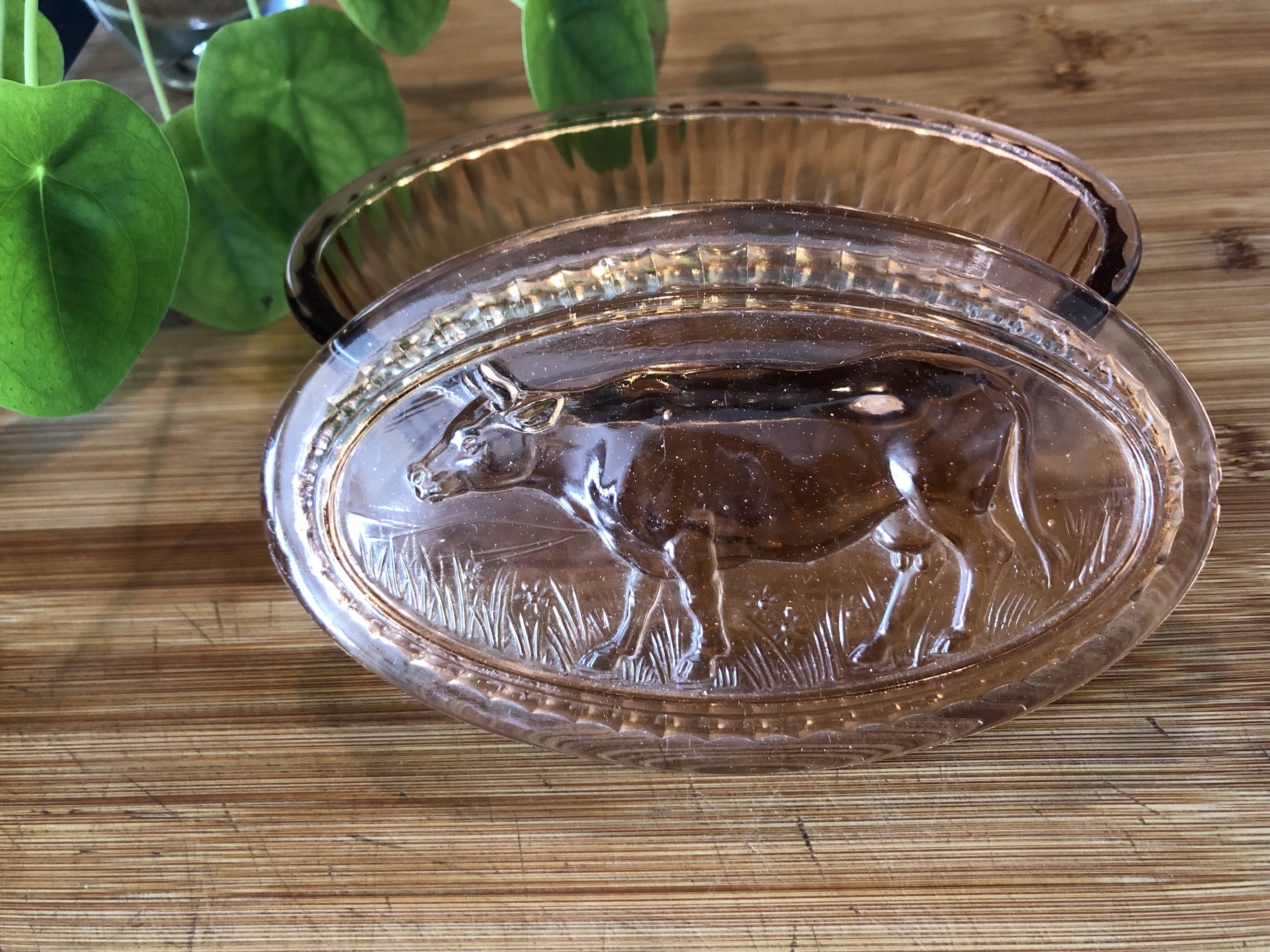 Beurrier vache verre rose