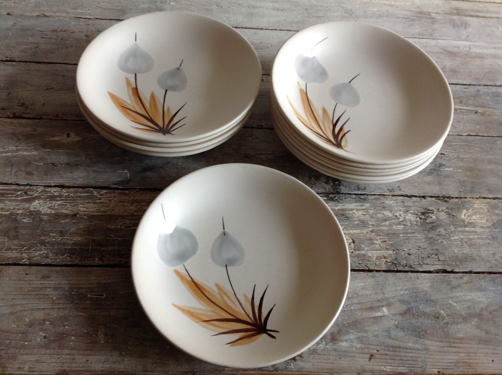 Set of 11 soup plates