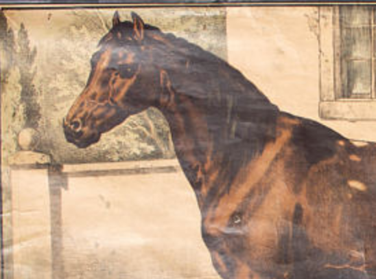 Poster "horse" lithograph Karl Jansky Böhmen 1897