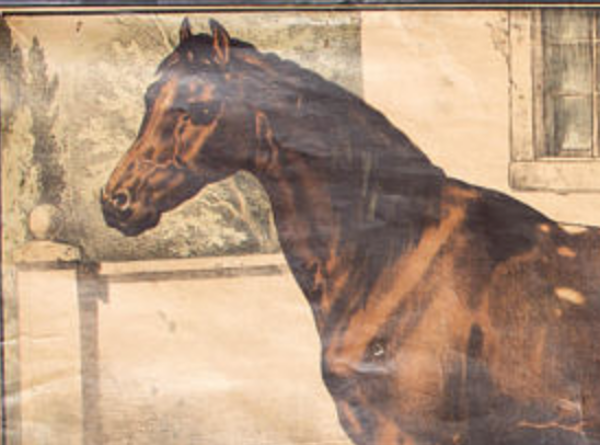 Affiche ''cheval'' lithographie Karl Jansky Böhmen 1897